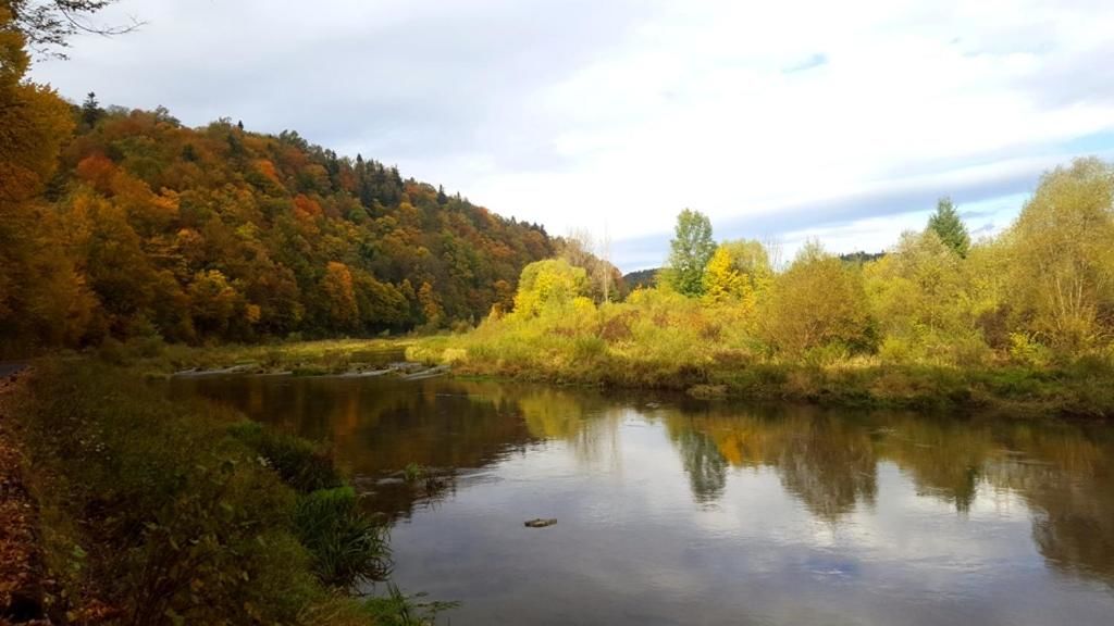 Проживание в семье Chata nad Sanem Zwierzyń-13