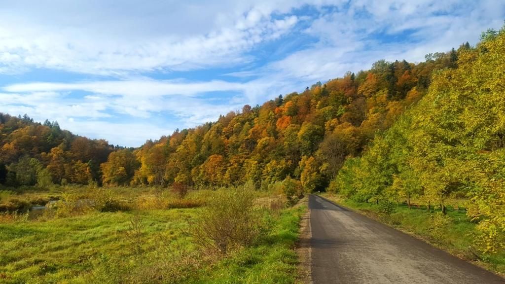 Проживание в семье Chata nad Sanem Zwierzyń-14