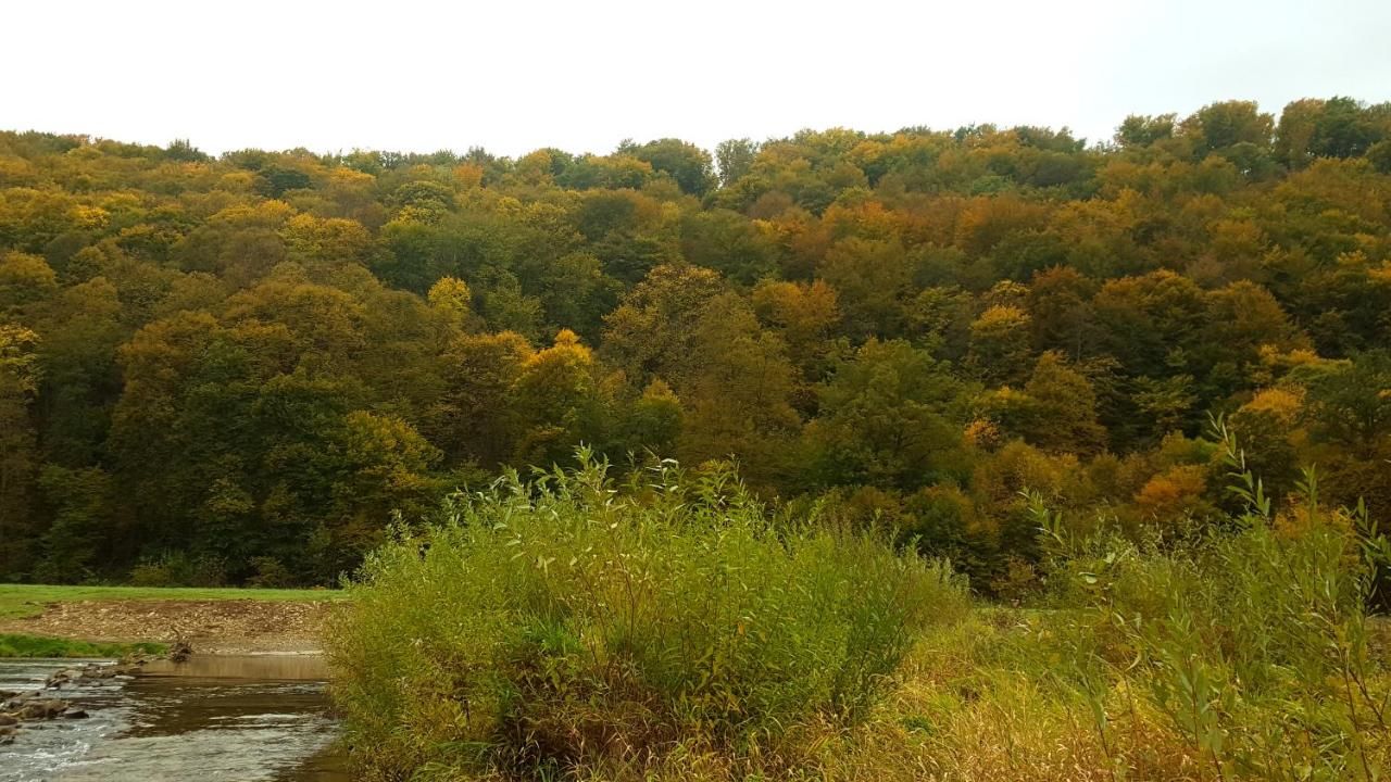 Проживание в семье Chata nad Sanem Zwierzyń-8