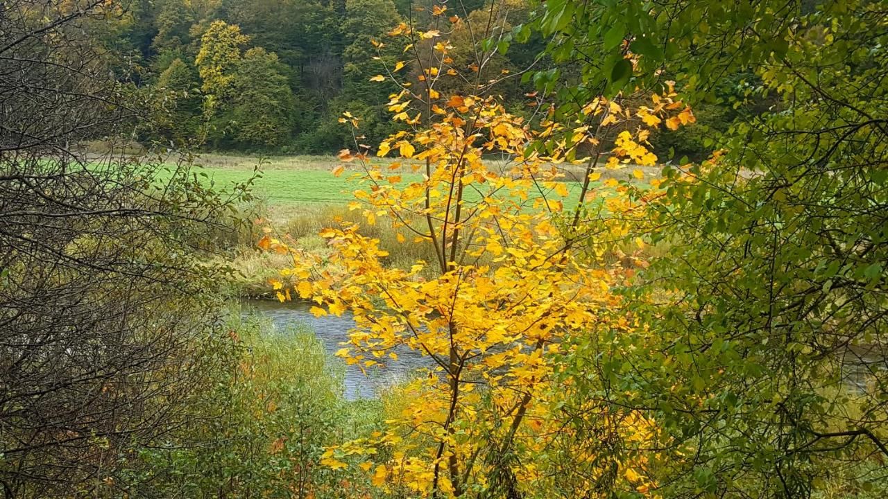 Проживание в семье Chata nad Sanem Zwierzyń-9