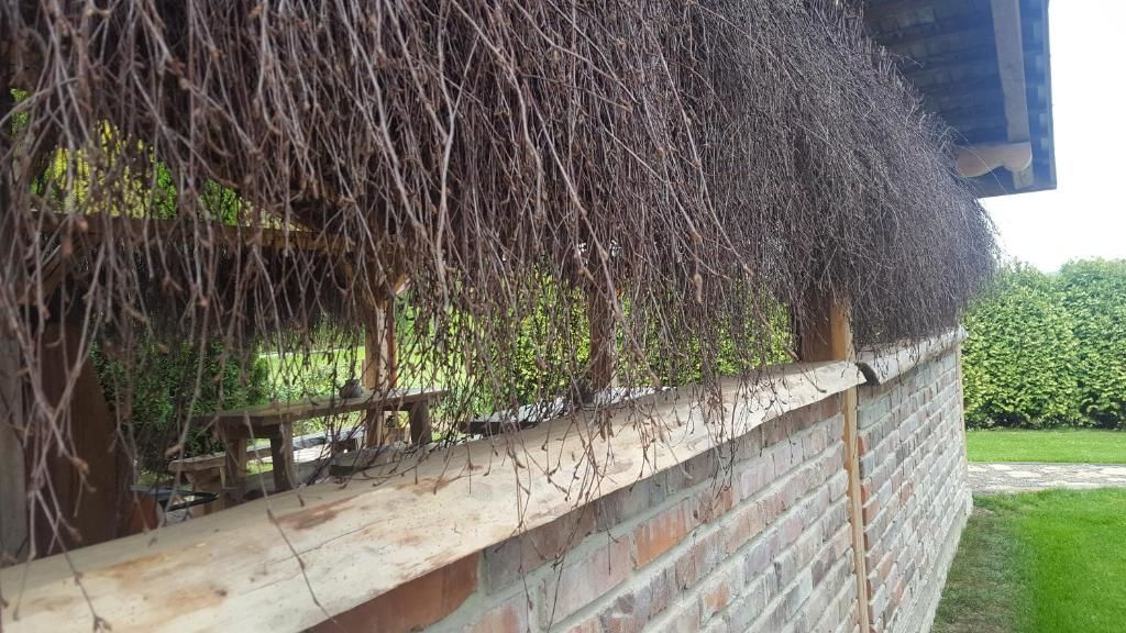Проживание в семье Chata nad Sanem Zwierzyń-72