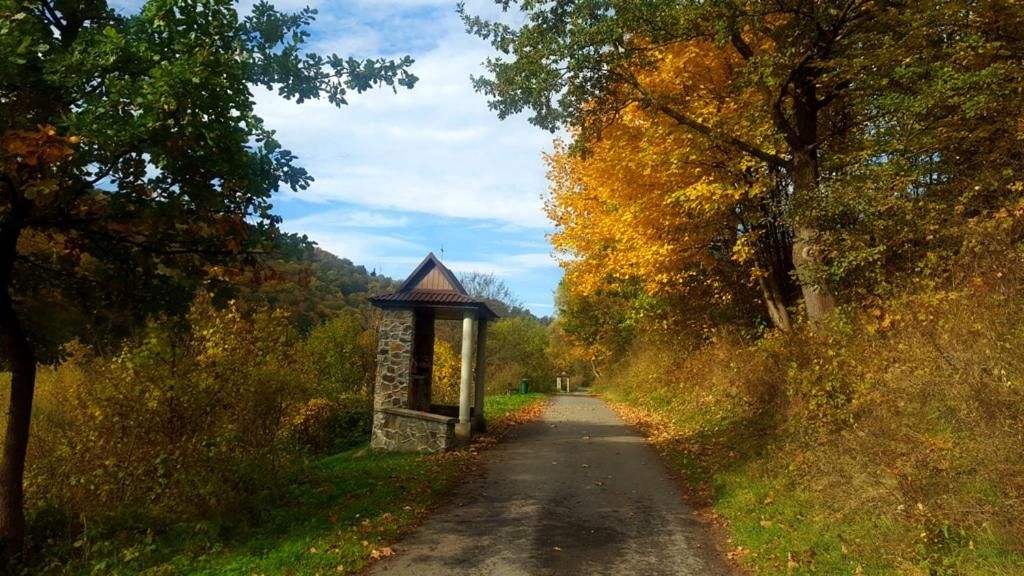 Проживание в семье Chata nad Sanem Zwierzyń-10