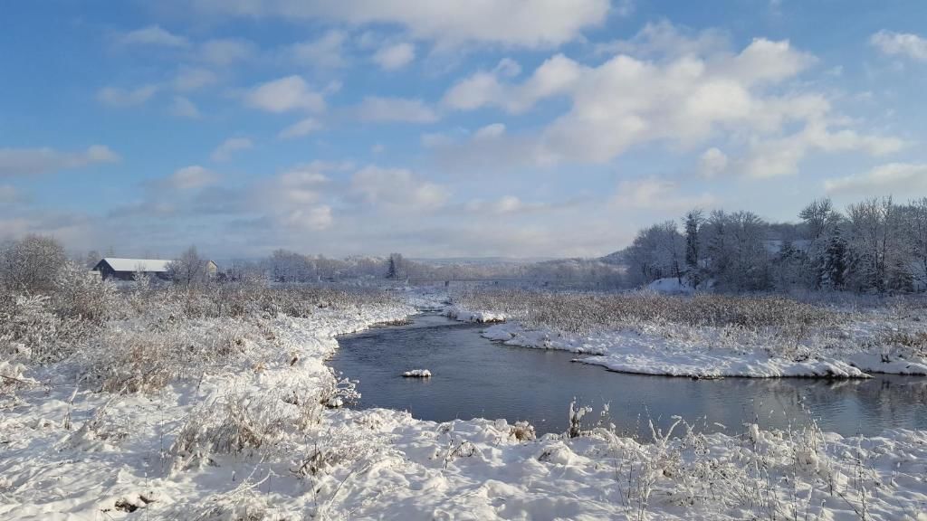 Проживание в семье Chata nad Sanem Zwierzyń-88