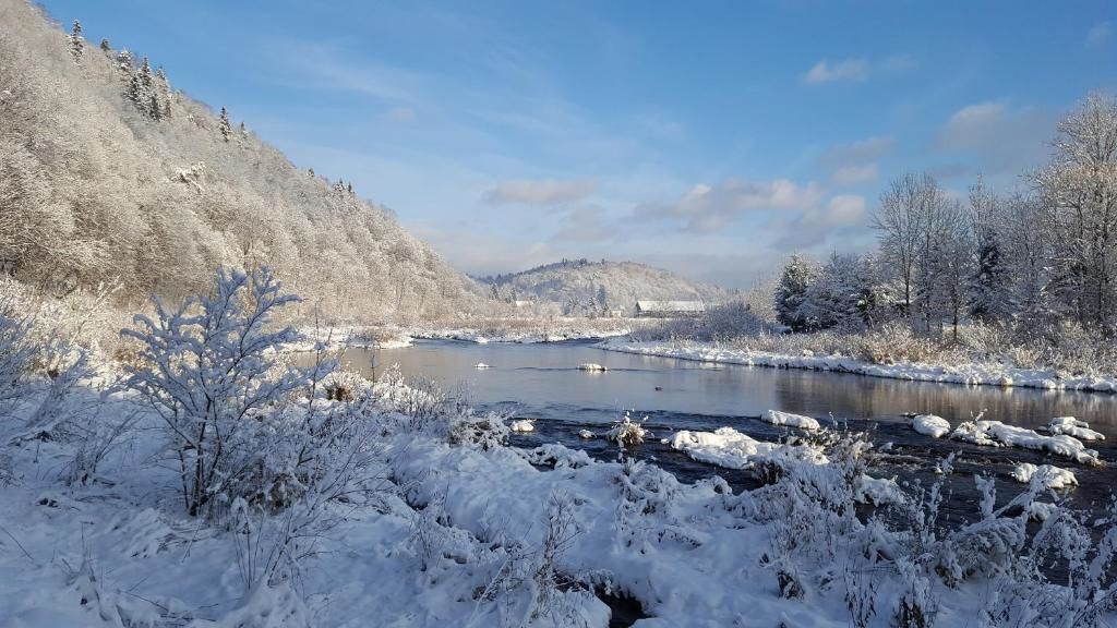 Проживание в семье Chata nad Sanem Zwierzyń-89