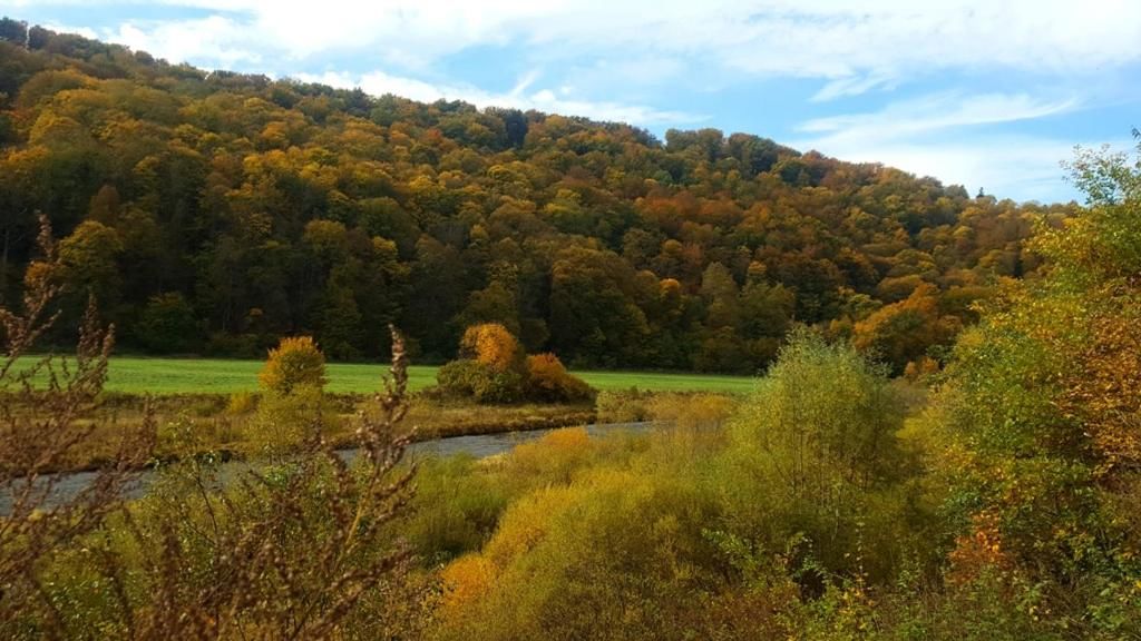 Проживание в семье Chata nad Sanem Zwierzyń-12