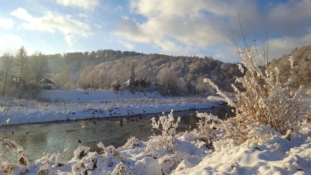 Проживание в семье Chata nad Sanem Zwierzyń-93