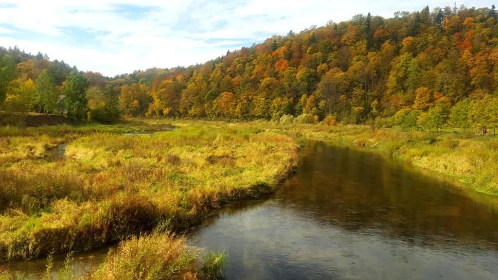 Проживание в семье Chata nad Sanem Zwierzyń-94