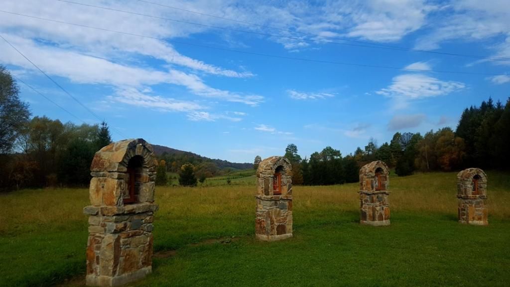 Проживание в семье Chata nad Sanem Zwierzyń-98