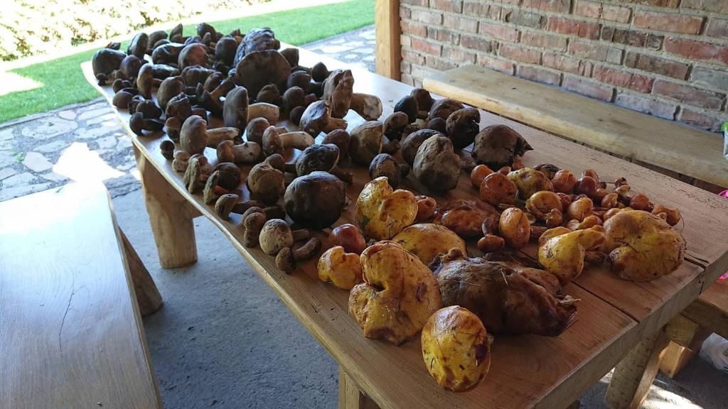 Проживание в семье Chata nad Sanem Zwierzyń-101