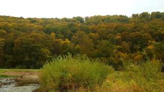 Проживание в семье Chata nad Sanem Zwierzyń-4